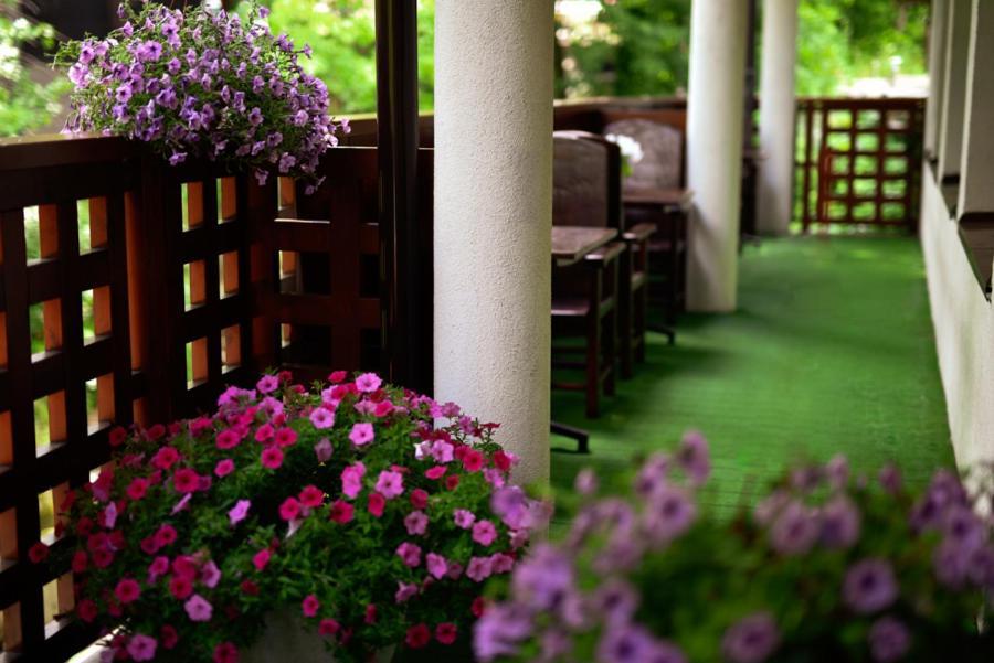 Hotel Promyk Wellness & Spa Karpacz Exterior photo